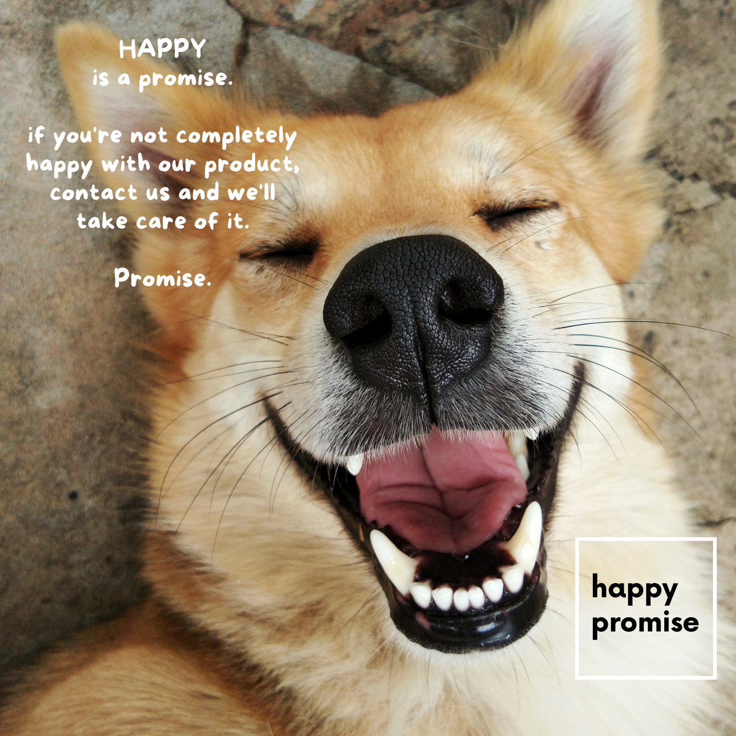 Bathbury Camp Dog Castile