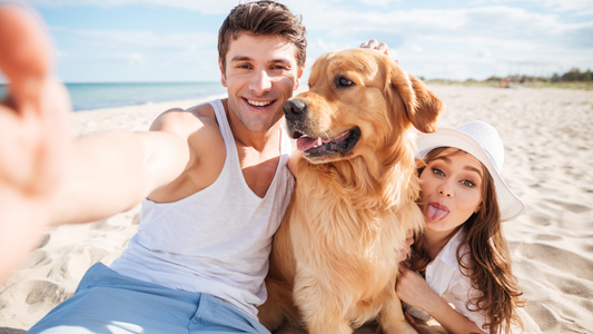 5 Essential Dog Care Tips: How to Keep Your Dog Healthy and Happy