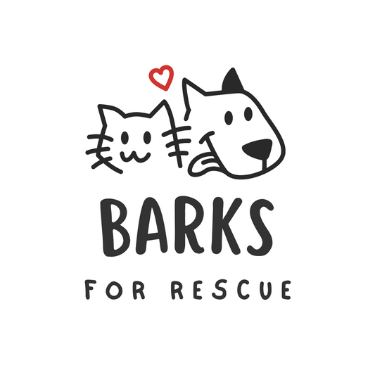 Clean, Happy, and Loved: Barks for Rescue Donates Baths to Shelter Dogs