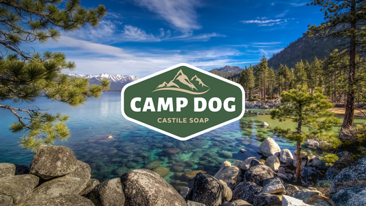 Introducing "The Camp Dog Way": A Philosophy of Adventure, Comfort, and Care