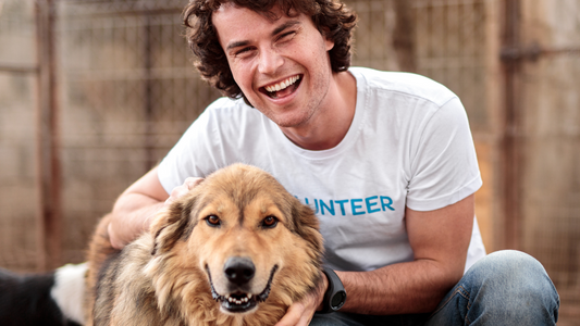 Canine Compassion: A Day in the Life of a Shelter Volunteer