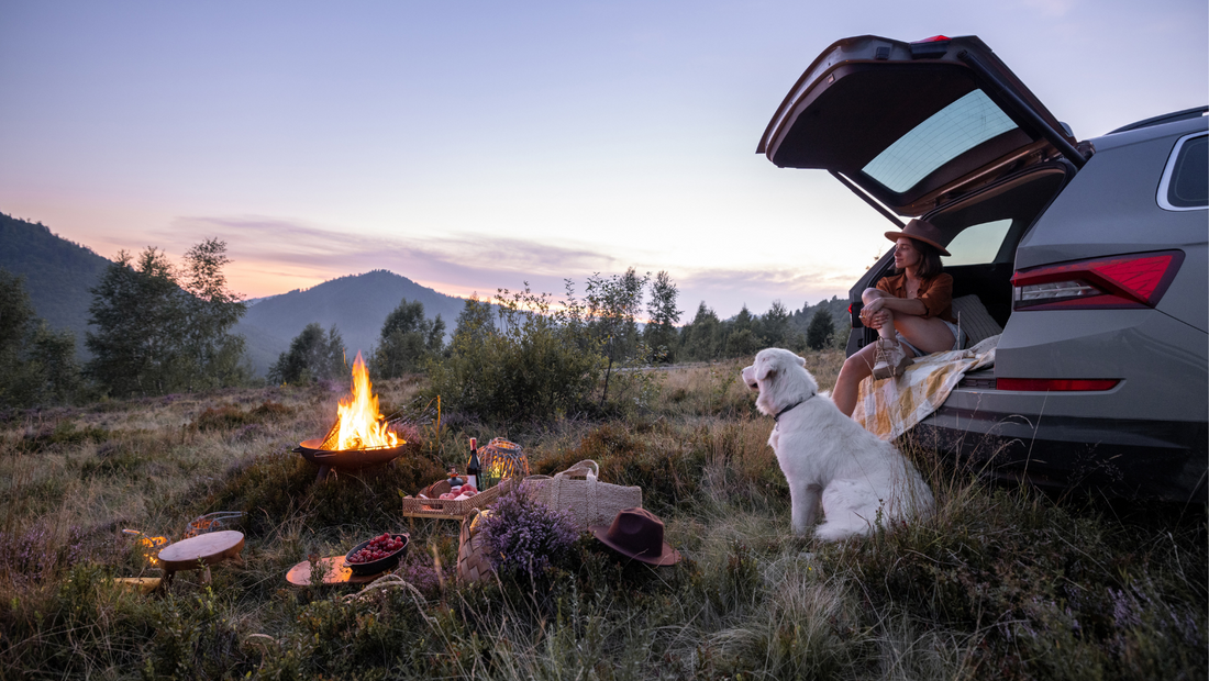 Unleashing Adventures: Weekend Escapes with Your Dog