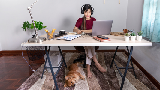 Work from Home: The Dog Parent's Guide to Balancing Barks and Business